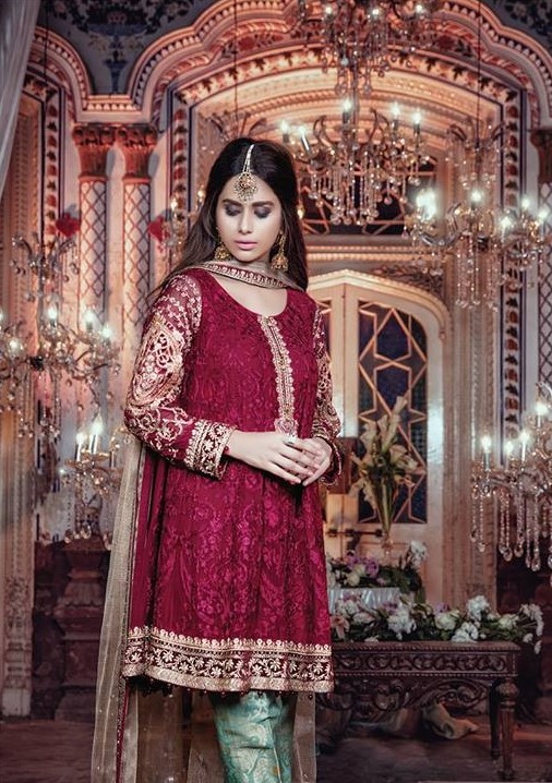 Full Embroidered Net Shirt With Net Dupatta