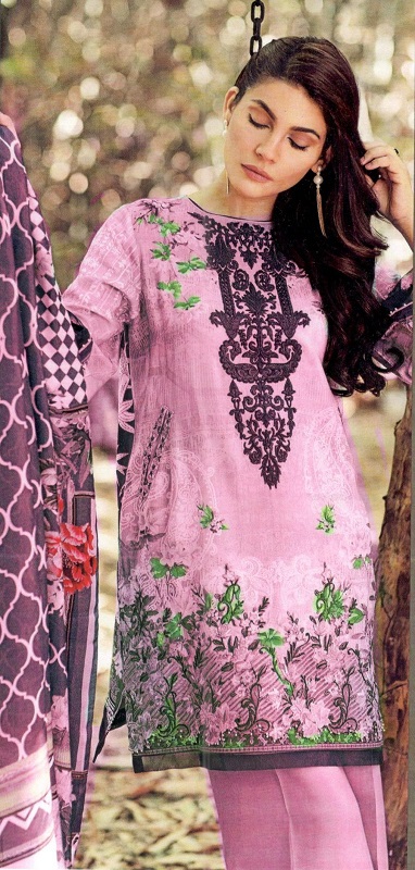 Neck Embroidered And Boarder Printed With Chiffon Dupatta